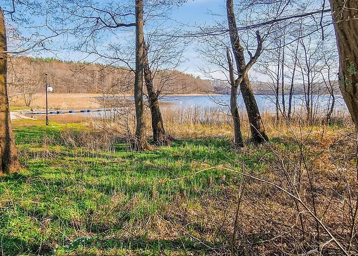 4 Bedroom In Ferienhaus Mikorowo